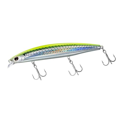 

Daiwa Shoreline Shiner Z Set Sea Bass Lure, Upper