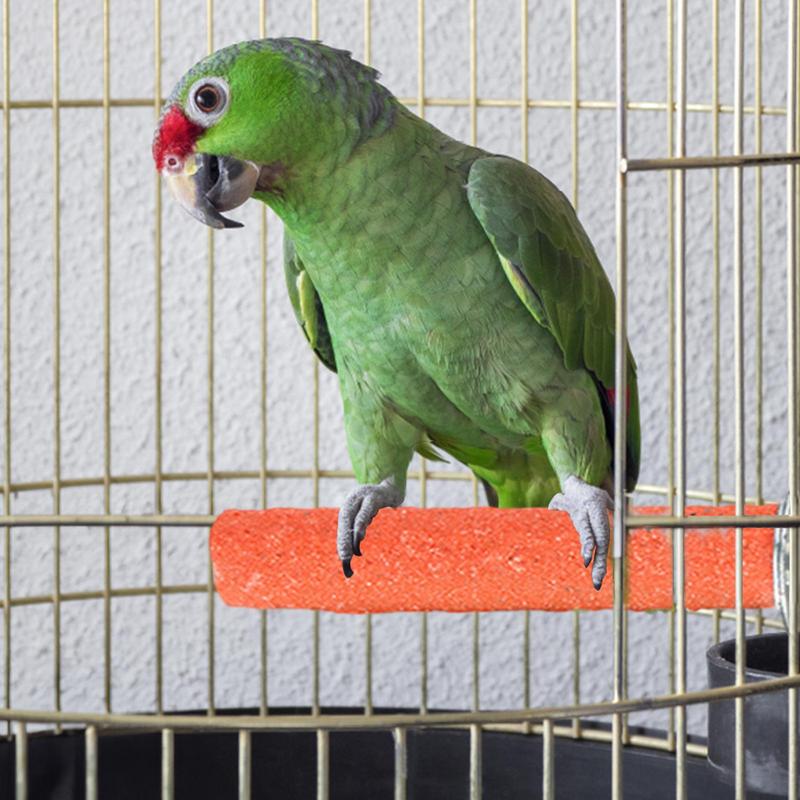 Bird Standing Stick Parrot Frosted Perch Stand For Cage Claw Sharpening Cage Perch Toy Bird Claw Sharpener 20cm