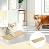 Multi Functional Cat Scratcher No Debris Rest Pillow Anti Furniture Scratch Toy For Indoor Cats