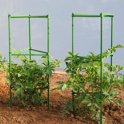 Tomato Rack Balcony Floor Stand - Anti-Fall Climbing Frame for Vegetables and Flowers.