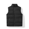 Autumn and Winter Versatile Casual Warm Vest New Simple Loose Thickened Coat Solid Color High-end Fashion Vest