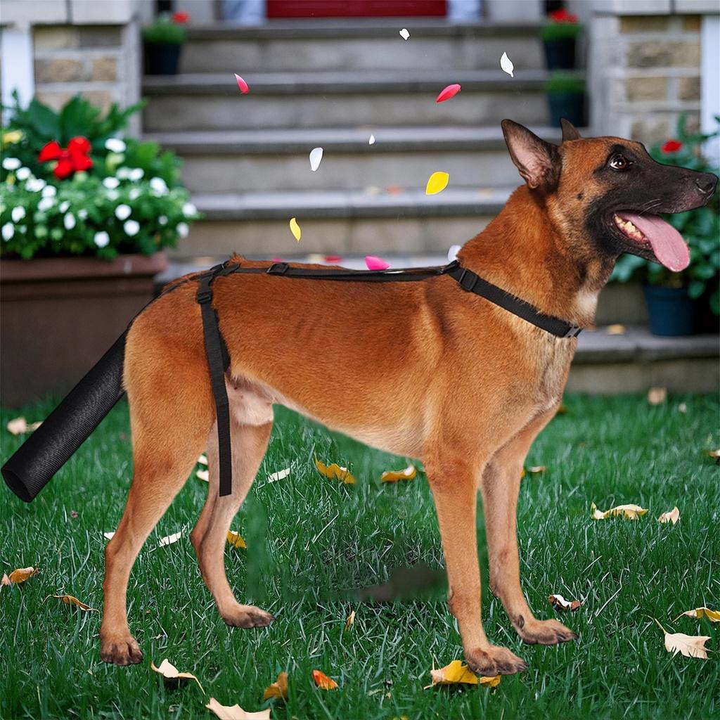 Adjustable Dog Leg Protector for Medium Large Dogs Dog Leg Cover for Wounds Dog Leg Guard with Straps and Padding