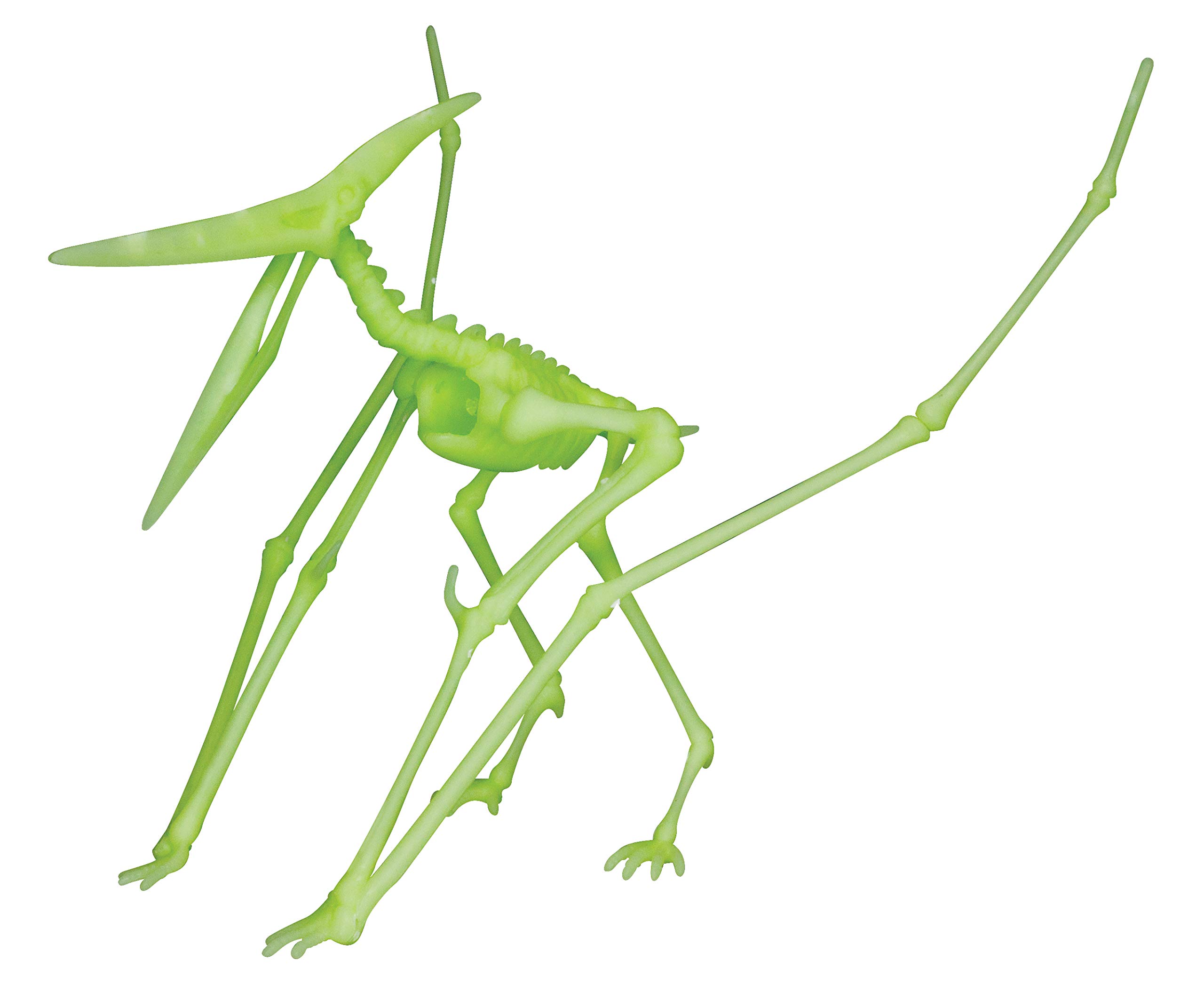 

Image Mission Kikyousha Glow Dinosaur Skeleton Pterodactylus VT054