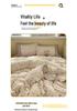 Korean Fresh Four-Piece Set: Cotton Lace Trim, Double Layer Gauze, Aerobic Jacquard Herringbone, Thickened.