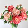 Peony Silk Flower Arrangement - Artificial Floral Decoration for Living Room and Dining Table