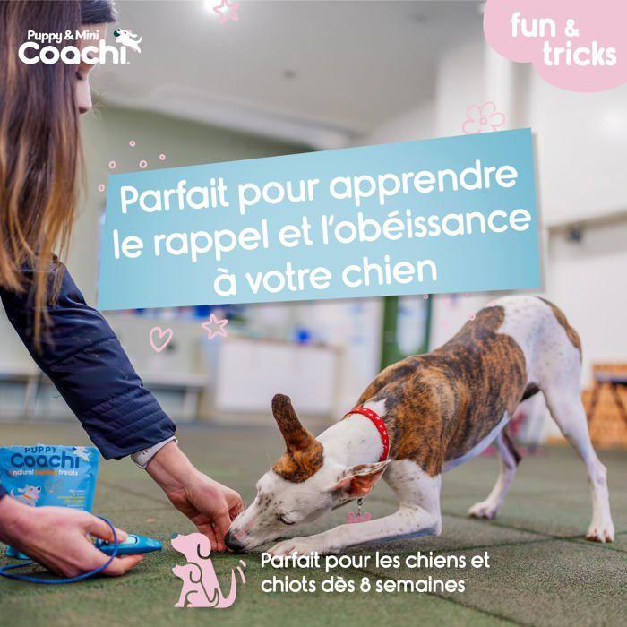 Sifflet et clicker combinés pour chien - Coachi - Éducation au rappel - Dressage au clicker - Cordon réglable