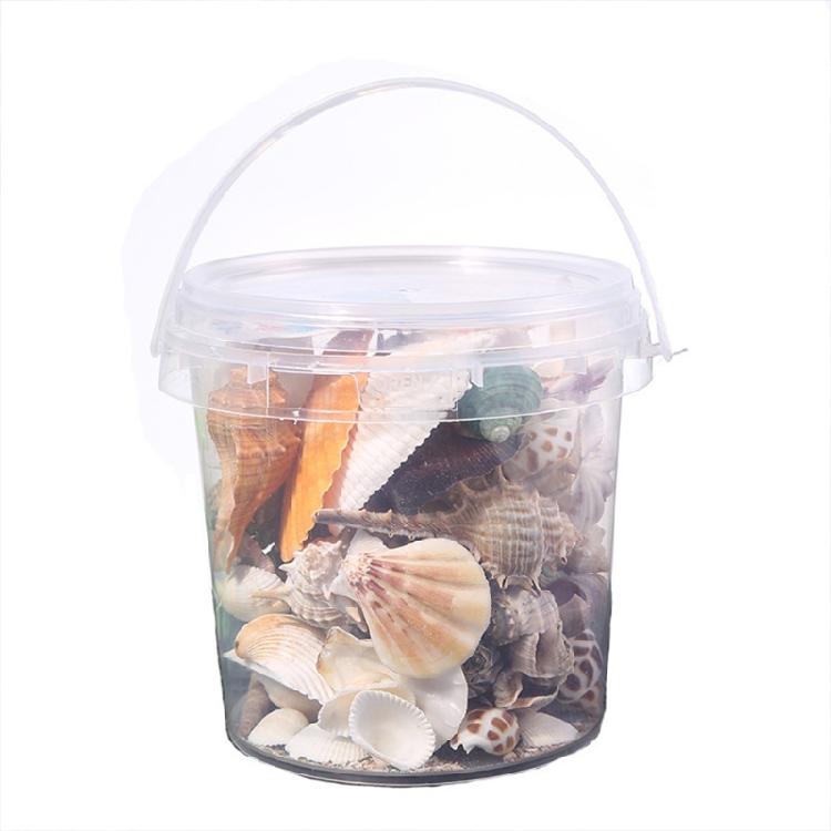 Beach Seashells Decoration Starfish Sea Snail Coral Ornament for Wedding Party