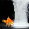 Air Stone Oxygen Fish Tank Aquarium Nano Air Stone Oxygen Aerator Air Bubble Pond Pump Hydroponic Oxygen Fish Supply Accessories