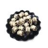 J1UL1N 40Pcs Skulls Human Head Skull Realistic Skeleton Skulls For Halloween Table Decor