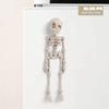 Decorative 3D Skeleton Refrigerator Magnets Poseable Movable Joints Skull Fridge Magnets Funny Decorative Magnets Office Decor