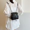 Stylish 2024 Spring Season Black Quilted Chain Strap Shoulder Bag For Casual Wear