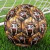Messi 10 Number World Cup Champion Size 5 Soccer Ball Machinestitched Indooroutdoor Training And Matches Ideal For Soccer Enthusiasts