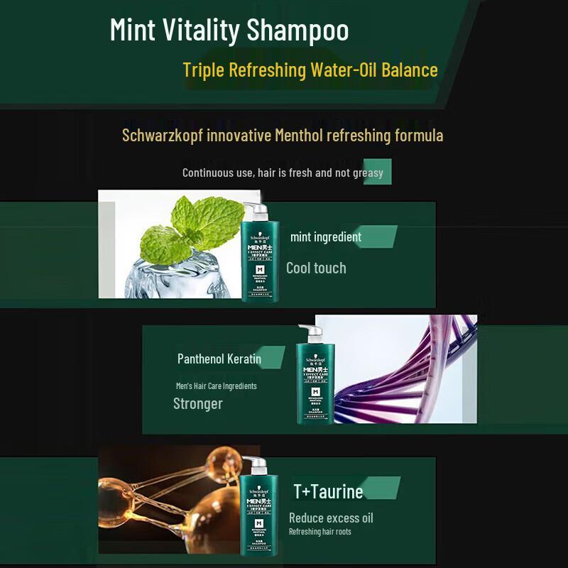 Schwarzkopf Erfrischendes Minz-Shampoo für Herren