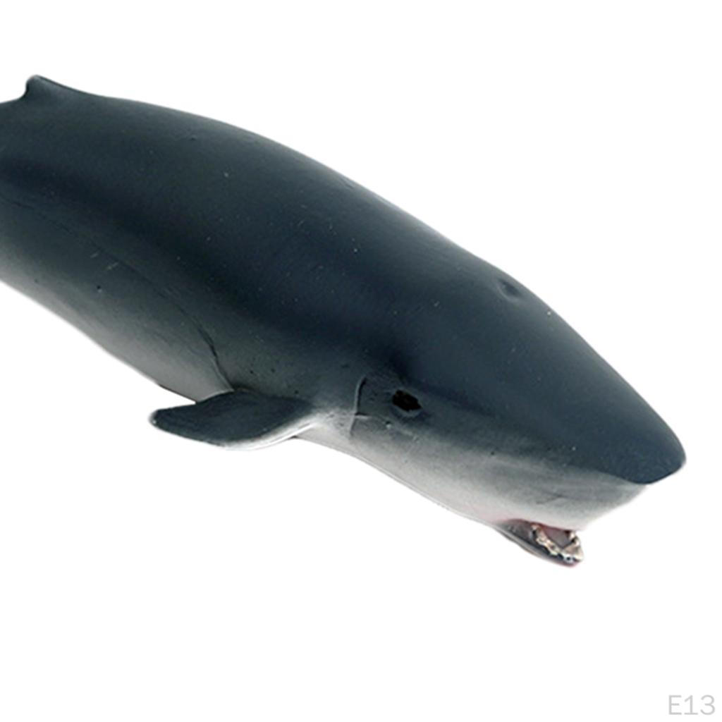 Action Figures Hand-Painted Creature Shark Sea Life Marine Toys Decorative Gifts for Kids