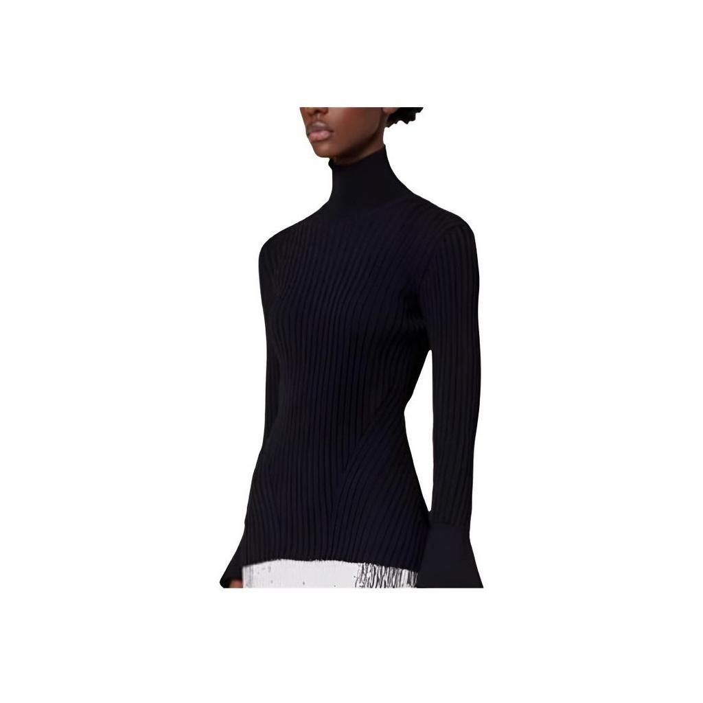 Amiparis Solid Color Turtleneck Pullover Long Sleeve Slim Sweater Women sweater Black FKS422-061001