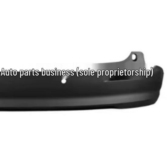 Sienna Rear Bumper Lower Guard (2021-2023 Models) 52169-08020