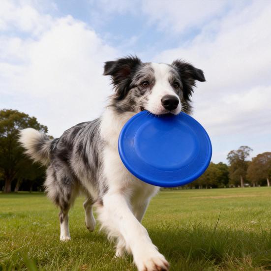Dog Flying Disc Toy Interactive Dog Fetch Toy Toss-and-Catch Entertainment Toy for Medium Large Dogs Outdoor Training Play Exercise