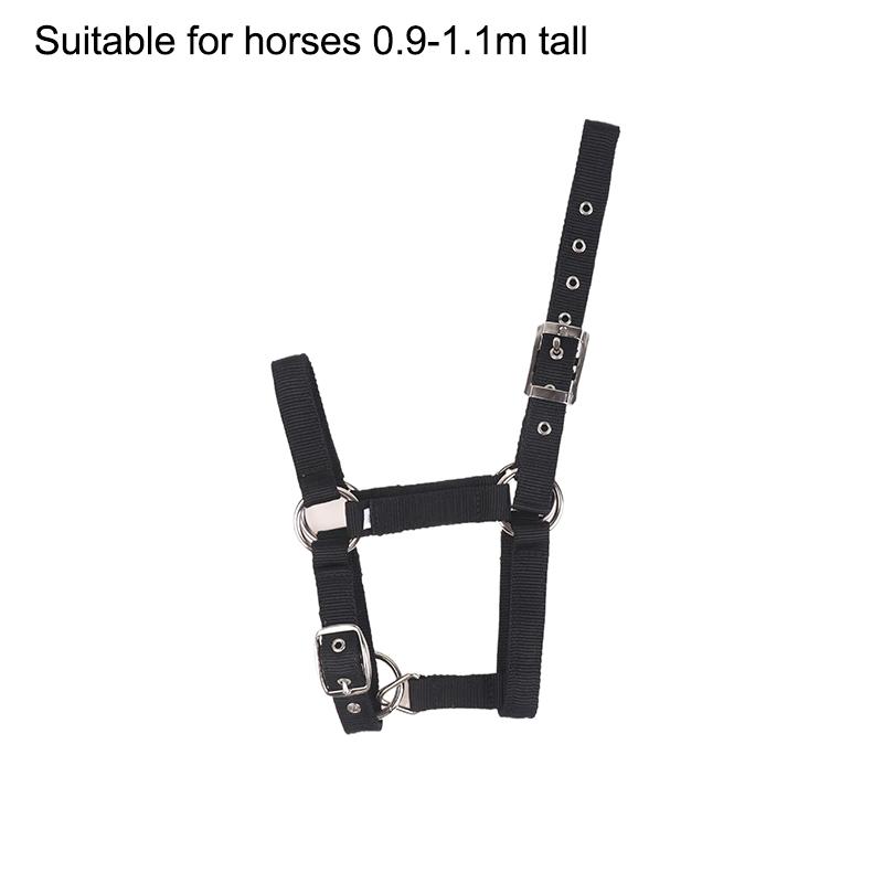 

1 Pc Adjustable Nylon Webbing Equestrian Western Horse Halter Horse Riding Wear Black XS S M L XL Ergonomic Comfortable Halters