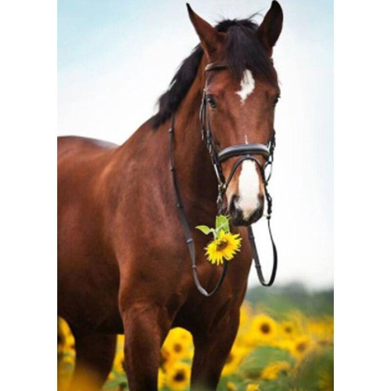 

Новый 5D DIY пейзаж алмазная живопись Лошадь Алмазная вышивка животное вышивка крестиком полная круглая дрель домашний декор ручной подарок Full Round 15x20CM