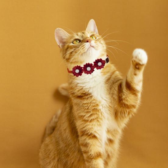 Haustierhalsband, verstellbar, weich, bequem, Haustier-Halsband, Blumen-Strass-Dekor, Katzen- und Hundehalsband, Heimtierbedarf