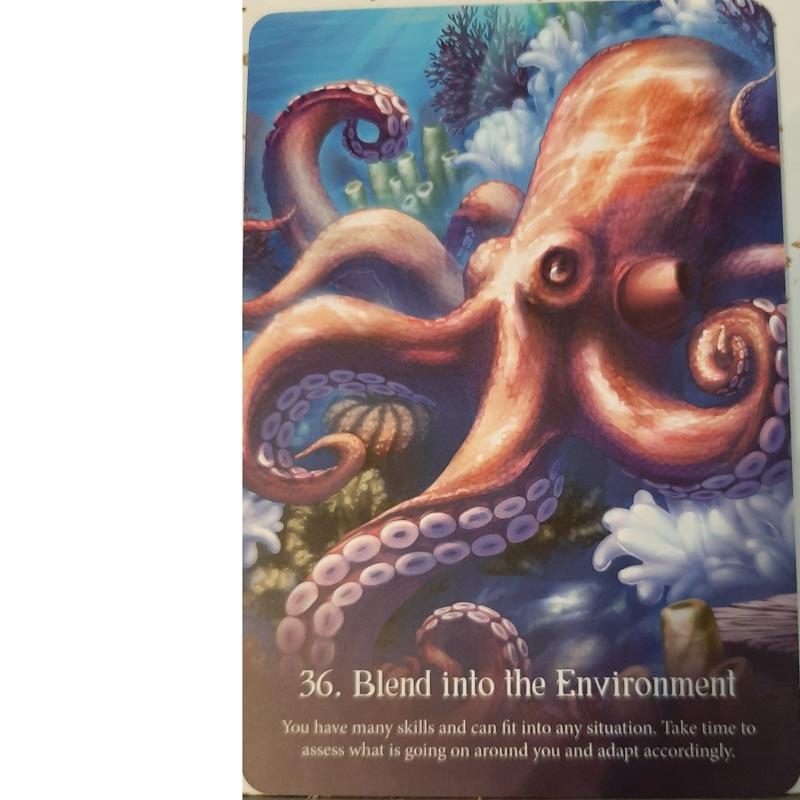 Whispers of the Ocean Oracle Cards