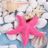 Mini Ornements Étoiles de Mer Mignonnes Décoration Étoiles de Mer Étoiles de Mer Simulation Aquarium
