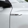 Valve Stems Caps 2PCS Car Body Side Wing Fender Badge Emblem Decoration Stickers For VW Volkswagen R Line Jetta Passat Touareg P