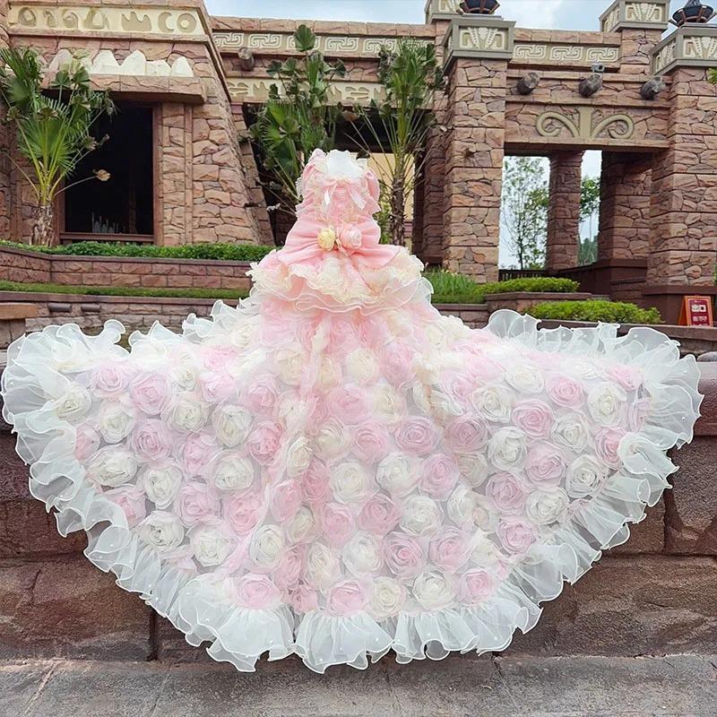 

Custom Pet Dog Dress Gown,3D Floral Puppy Wedding Dress,Detachable Long Trailing Customized Dog Skirt,Embroideried Rose Design XS（old）