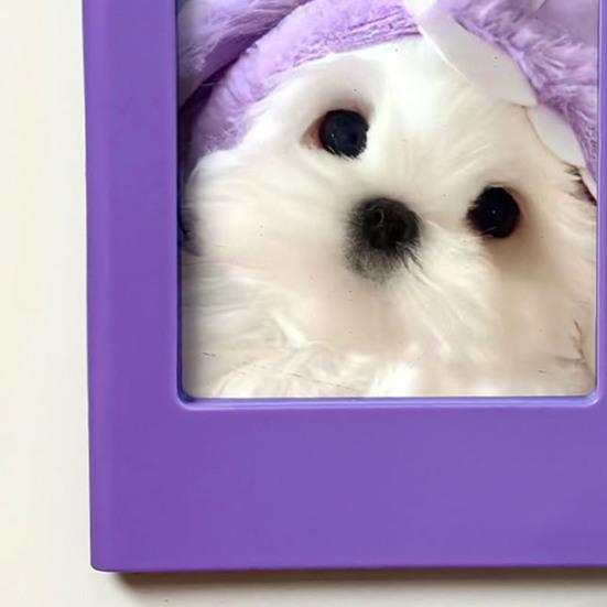 DIY Photo Frame Refrigerator Magnet 3-Inch Picture Holder Decorative Fridge Magnet Home Kitchen Office Whiteboard