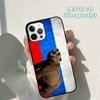 Autumu Moscow Russian Flag Bear Phone Case Cover for iPhone 17 Air 16 16e 15 12 11 13 14 Pro Max Apple Plus Coque