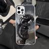 Alien Vs Predator Painted Phone Case for iPhone 13 12 Mini 11 Pro X XS Max XR 7 Plus 8 SE 6 6S 5 5S Soft Silicone Fundas Cover