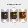 Owl Wall Lamp Rechargeable Motion Sensor Light with Dual-Glow Up And Down Soft Lighting Magnetic No-Drill