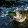 Deep Diving Hard Fishing Long Lip Floating Crankbait for Fishing