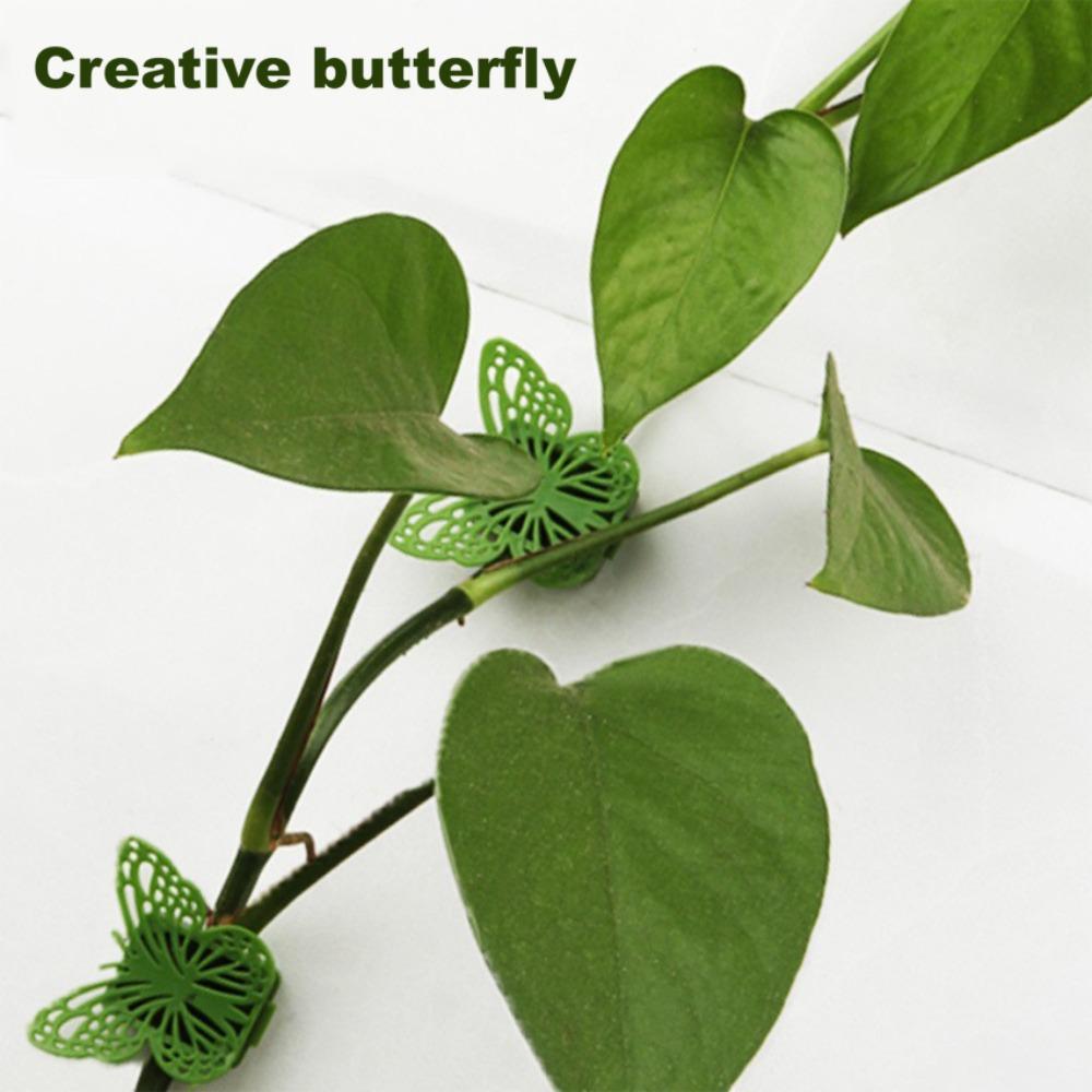 Clips Hook Vegetables Tied Plants Bracket Wall Vines  Fixture Plant Climbing Clip Plant  Support