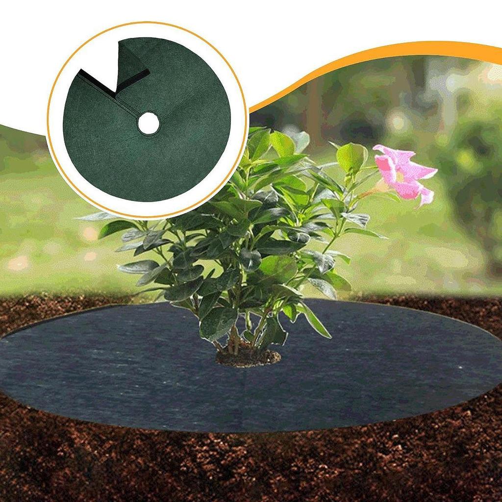 Degradable Mulch Rings to Shield Trees from Animals, Protective Mats