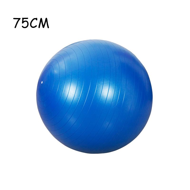 Piłki fitness z PVC Piłka do jogi Zagęszczona, przeciwwybuchowa, do ćwiczeń w domu, do pilatesu, do ćwiczeń, piłka równoważna 45 cm, 55 cm, 65 cm, 75 cm