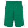 James and Nicholson Mens Basic Team Shorts