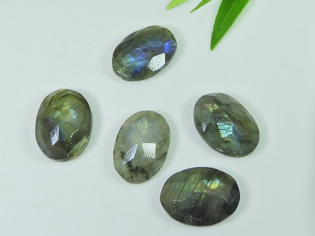 12X17MM Natural Labradorite Checker Cut Oval Cabochon Gemstone 5 Pcs Lot LM-1207