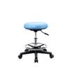 Dental Doctor Stool with Backrest