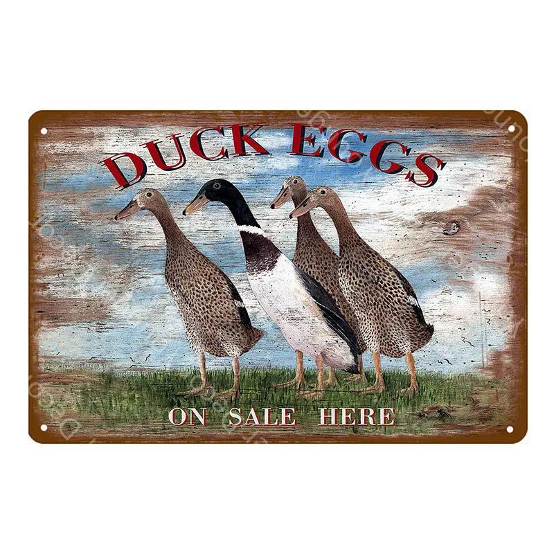 Family Butchers Tin Signs Beef Cuts Duck Eggs Wool Vintage Metal Plaque Farmhouse Farm Shop Wall Decor Cow Pig Poster YI-120