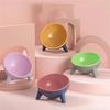 Feeding Dispenser Pet Comfort Feeding Bowl Tilted Elevated Bowl Pet Cat Dog Food Water Dish Backflow Prevention