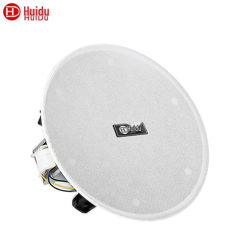 Huidu RS-206 Professional Coaxial Ceiling Speaker (CN version)