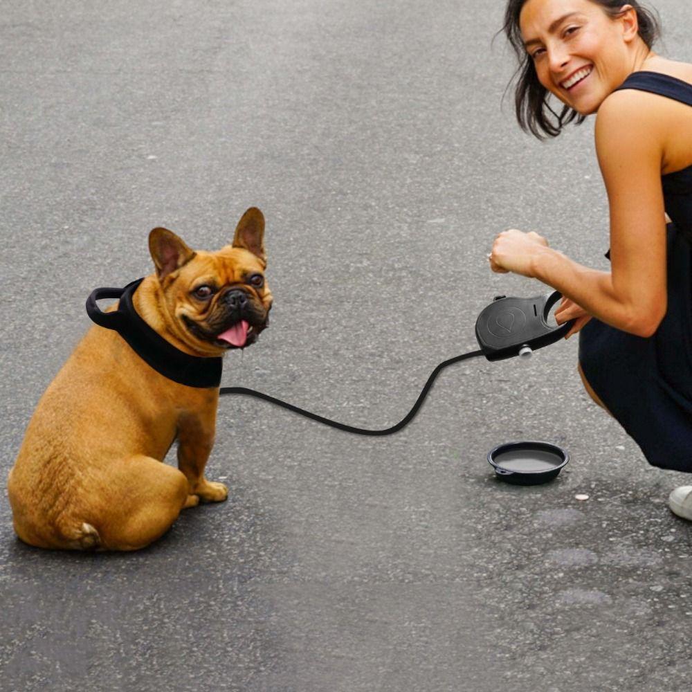 Detachable Dog Traction Rope Plastic Handheld Dog Leash Retractable Dog Leash  For Outdoor Walking