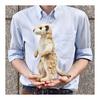 BH5326 HANSA Meerkat 33