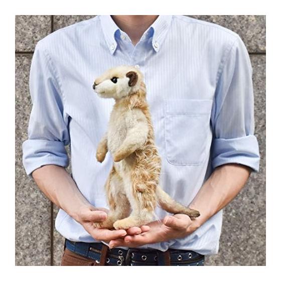 BH5326 HANSA Meerkat 33
