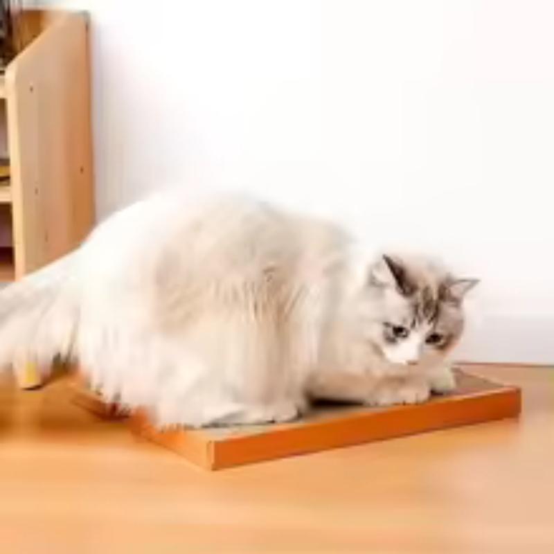 Pet Cat Scratching Board Cardboard Mat Scraper Grinding Claw Toys for Scratcher Cat Furniture Protector Accesorios