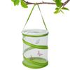 Schmetterlingsgehege Mini-Netzgehege Terrarium Pop-up Raupenhabitat Durchsichtig Einfachere Schmetterlingsgehege für den Innenbereich