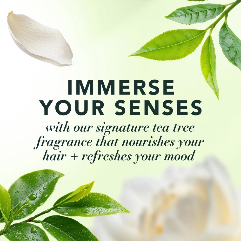 Herbal Essences Purifying Conditioner  Tea Tree  33.8 Fl Oz