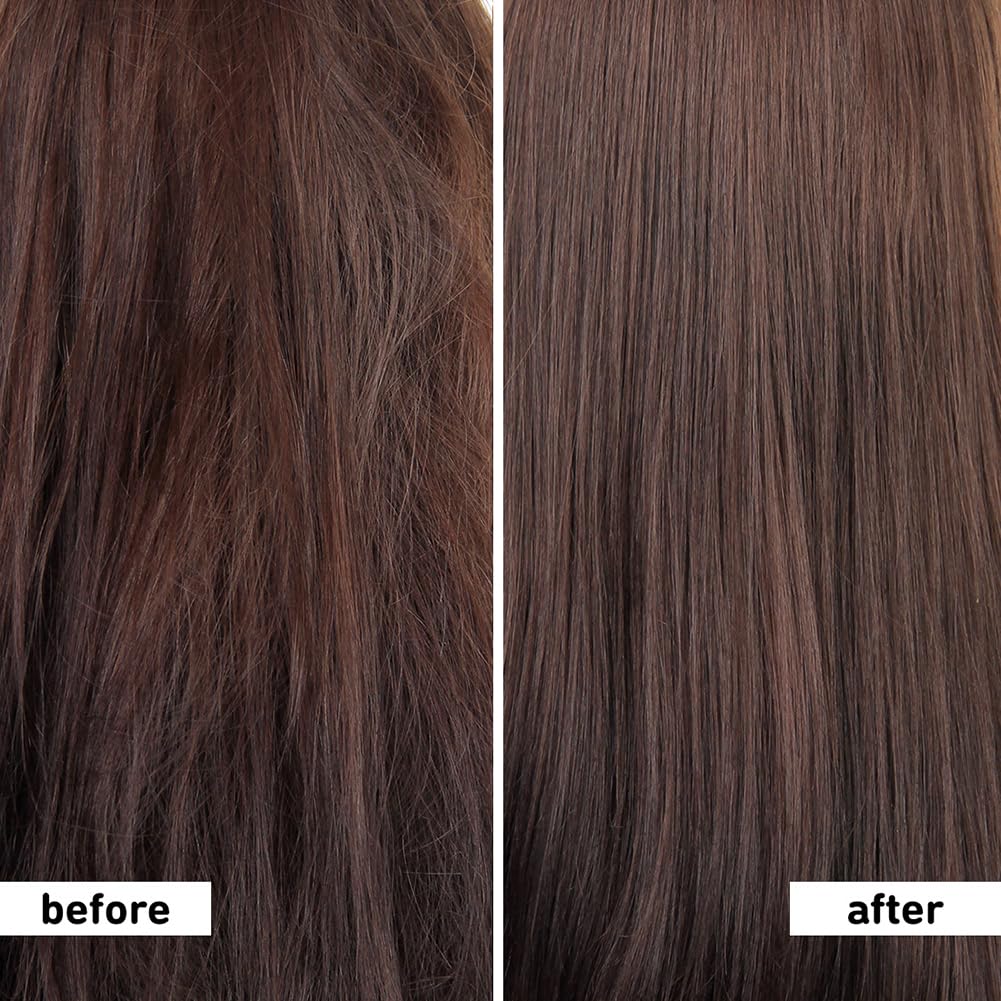 Plum Coconut Shampoo for Dull Hair 500 ml X Pack of 2 | Soft Silky Hair for Women and Men