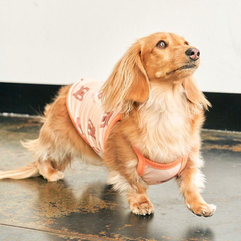 MUNIKUND Bug Guard-T : Yellow Pretzel